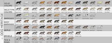 Appearance Souls Comprehensive Roleplay Guide Wolf Colors Doberman Colors Dog In Heat