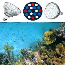 E27 Deniz Akvaryumu Led Isik Ing 10 Mavi 6 Beyaz 2uv Par38 Led Mercan Resif Isik Buyumek 54w Akvaryum Balik Kase Led Isik Icin Refugium Grow Light Coral Reef Grow Lightled Coral Reef