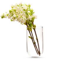 Canopy Co Chive Hudson Wall Hanging Glass Vase On Amazon Hanging Glass Vase Glass Flower Vases Wall Flower Vases