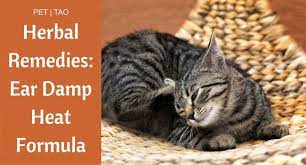 Herbal Remedy For Cat Ear Infections And Itchy Ears Pet Tao Holistic Pet Products Cat Ear Infections Itchy Ears Ear Infection Home Remedies