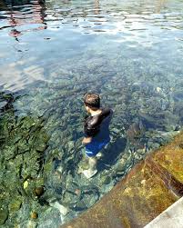 Wahana di kolam renangnya tak perlu ditanya lagi, semua lengkap untuk segala. Batang Tabik Pemandian Alam Yang Masih Bertahan Backpacker Jakarta
