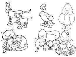 Animales Viviparos Para Colorear Safari Character Fictional Characters