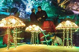The Garden Christmas Light Display At Brookside Gardens In Maryland Is Pure Holiday Magic Garden Christmas Christmas Light Displays Christmas Lights