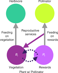 We did not find results for: Mutualism Increases Diversity Stability And Function Of Multiplex Networks That Integrate Pollinators Into Food Webs Nature Communications