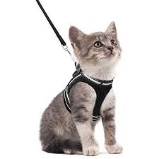 Cat Harness With Leash Breathable Kitten Harness With Reflective Stripes Adjustable Black Vest Easy To Put On Walmart Canada