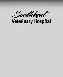 Veterinarian In Caledonia Byron Center Vet Near You Southkent Veterinary Hospital