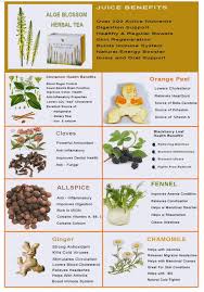Aloe Blossom Herbal Tea Item 200 Www Kien Flp Com 314 Crockett St Hamilton On L8v 1h7 Tel 289 Herbalism Aloe Blossom Herbal Tea Forever Living Products