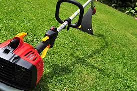 The best budget petrol trimmer. Should I Buy A Petrol Grass Trimmer Which