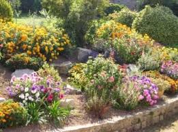 Rocaille Fleurie Jardin De Rocaille Jardins Rocaille