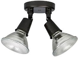 Capital Lighting 9502rz Bronze Outdoor Flood Light Fixture Cpt 9502rz