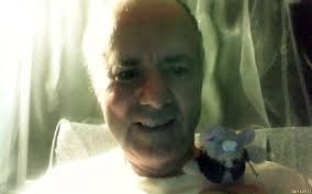 Amazon.com: Goblins (Magical Creatures): 9798530770432: Elliott, Steve:  Books