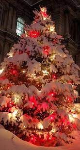 We did not find results for: 150 Christmas Lights Outside Ideas Christmas Lights Christmas Christmas Magic