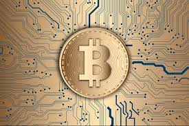 A lot of people who bought bitcoin have made significant money. Tesla Ceo Elon Musk Says Bitcoin Purchase Is Less Dumb Than Holding Cash