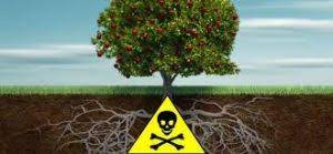 Farrell so egregiously misstates the doctrine that it's worth pointing out the error, in case any of you actually believed what you heard. An Argument For The Fruit Of The Poisonous Tree Doctrine The Criminal Law Blog