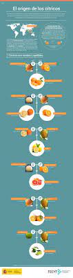 Pin En Infographics
