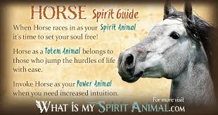 In 2003, the grabassky's founded the horse office for tender care of chakra healing (hotcoch). Horse Symbolism Meaning Spirit Totem Power Animal