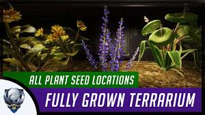 Truance all occasion pop up card, mixed flower basket. Star Wars Jedi Fallen Order Fully Grown Terrarium All 10 Plant Seed Locations Green Thumb Youtube