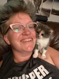 Transformation of a stray kitten into a beautiful cat