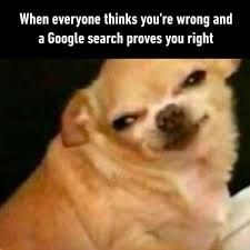 I Told You So Funny Pictures Funny Memes Dog Memes