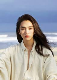 Qing dynasty hairstyle traditional chinese characters fashion png. Chinese Man Long Hair Style Novocom Top