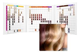 Londa Color Chart Wallsites Org