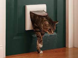 dverca dlya koshek v dver