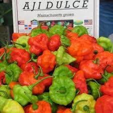 5 to 6 small aji dulce peppers (may substitute with bell peppers) 1 medium red bell pepper. Cachucha Pepper Substitutes Ingredients Equivalents Gourmetsleuth