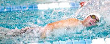 Dolphin swim teams sweep five-team meet