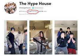 Basically, it's a mansion full of tiktok and youtube stars who are living together and making viral content. What Is The Hype House