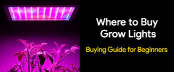 Indoor led grow light is backed. Where To Buy Grow Lights Buying Guide For Beginners Best