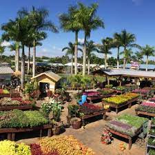 Educational butterfly facts are posted throughout the pavilion. Flamingo Road Nursery 1165 Photos 239 Reviews Nurseries Gardening 1655 S Flamingo Rd Davie Fl Phone Number Offerings Yelp
