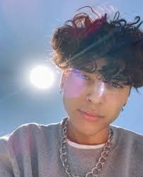 When styling this haircut always bear in mind products you choose need to be effective meaning you need to be cautious when buying sprays, curlers, and other stuff. Cute Curly Hair Boys With Glasses Novocom Top
