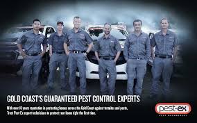 Choose the best, palm coast pest!pic.twitter.com/2emp4zwltk. Pest Control Gold Coast Termite Treatment Inspections