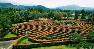 Check spelling or type a new query. 5 Destinasi Wisata Bertema Taman Bunga Yang Menarik Untuk Dikunjungi Okezone Travel