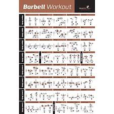 Buy Barbell Workout Exercise Poster Laminated Home Gym