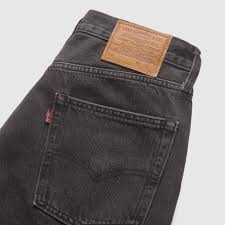 Image result for Sutera levis