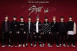 Hello, we are stray kids! stray kids (kr: Stray Kids Tv Series Wikipedia