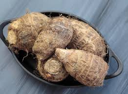 We did not find results for: 11 Caribbean And Latin American Vegetables To Discover And Enjoy