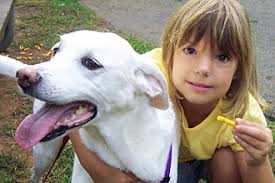 News Flash • Gainesville, Hall Co. awarded combined $4.4M in