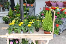 La Virgule Verte Fleuriste Goussainville Petitscommerces Fr