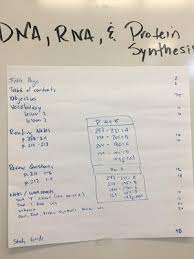 Unzipping of dna, formation of mrna, attaching of mrna to the ribosome, and linking of amino acids to form a protein. Dna And Rna Mr Moss S Science Classes