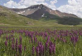 We did not find results for: Colorado Scenic Byway Alpine Loop Colorado Com