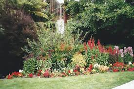 Nelson Nz Garden South Island South Island New Zealand Island