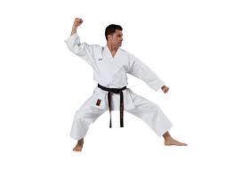 Pin On Karate