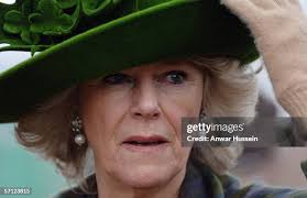 182 Patrick Treacy Stock Photos, High-Res Pictures, and Images