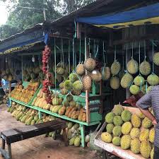 To come) as chinese character including stroke order, pinyin phonetic script, pronunciation in mandarin, example sentence and english meaning. Photos At Pasar Buah Lai Duren Samarinda East Borneo