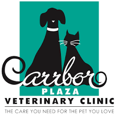 What's a home vet visit like? Home Veterinary Clinic In Carrboro Carrboro Plaza Veterinary Clinic Carrboro Plaza Veterinary Clinic Veterinarian In Carrboro North Carolina United States