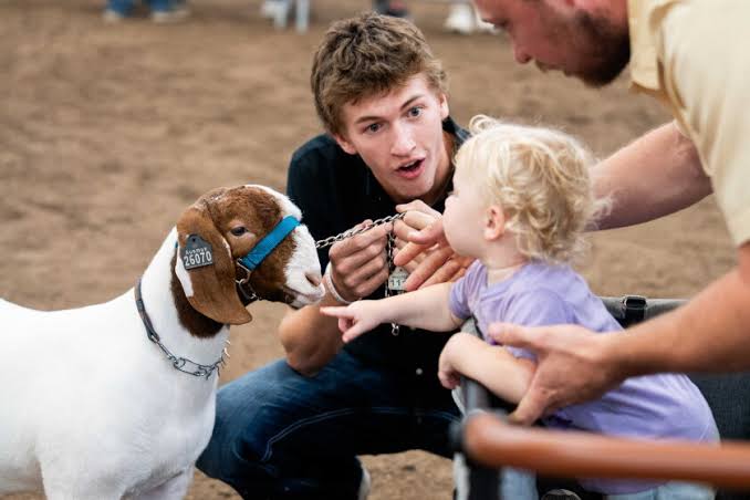 Photos from Illinois State Fair in Springfield capture Governor's Sale of Champions; 14-year-old's meat goat wins grand champion