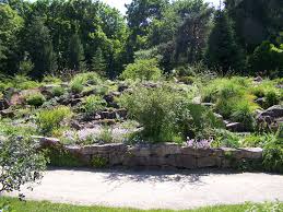 478 likes · 1 talking about this · 1,551 were here. Datei Botanischer Garten Erlangen Jpg Wikipedia