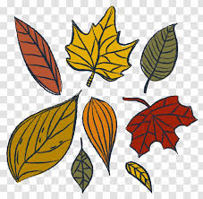 Drawing, wings angel, face, leaf, monochrome png. Leaf Watercolor Painting Drawing Symmetry Vector Autumn Leaves Transparent Png